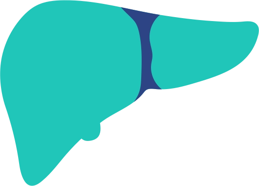 Liver Cancer