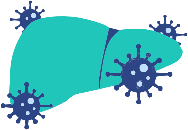 Hepatitis